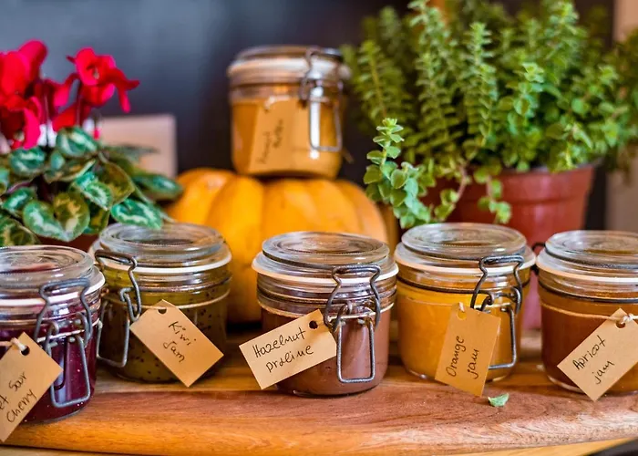 Leto Nuevo Hotell 3*